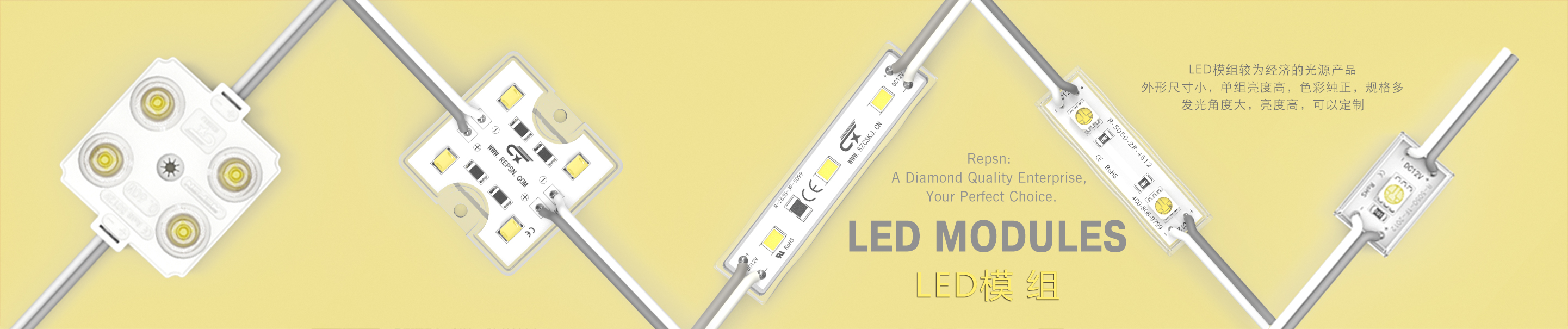 LED MODULE